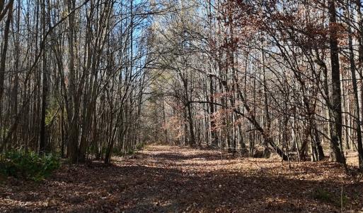 Photo #44 of Off Stone Drive, Roxboro, NC 40.8 acres