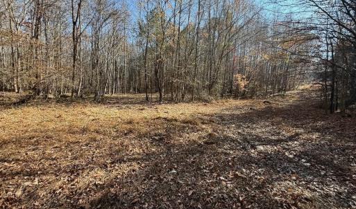 Photo #45 of Off Stone Drive, Roxboro, NC 40.8 acres