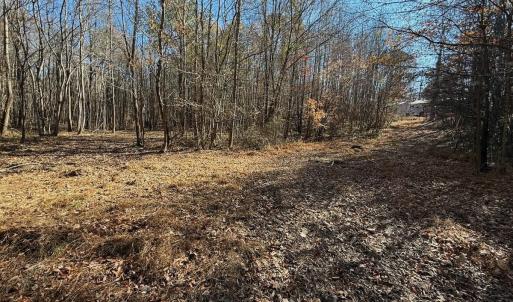 Photo #46 of Off Stone Drive, Roxboro, NC 40.8 acres