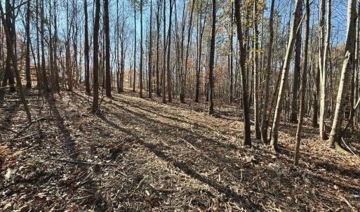Photo #48 of Off Stone Drive, Roxboro, NC 40.8 acres