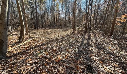 Photo #49 of Off Stone Drive, Roxboro, NC 40.8 acres