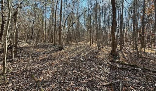 Photo #50 of Off Stone Drive, Roxboro, NC 40.8 acres