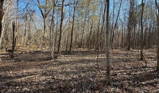Photo #51 of Off Stone Drive, Roxboro, NC 40.8 acres