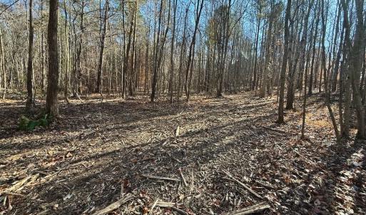 Photo #52 of Off Stone Drive, Roxboro, NC 40.8 acres