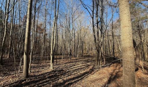 Photo #53 of Off Stone Drive, Roxboro, NC 40.8 acres