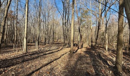 Photo #55 of Off Stone Drive, Roxboro, NC 40.8 acres