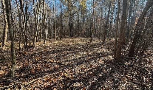 Photo #56 of Off Stone Drive, Roxboro, NC 40.8 acres