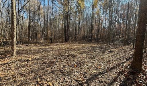 Photo #57 of Off Stone Drive, Roxboro, NC 40.8 acres