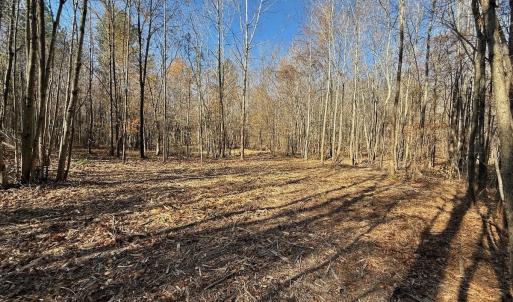 Photo #58 of Off Stone Drive, Roxboro, NC 40.8 acres