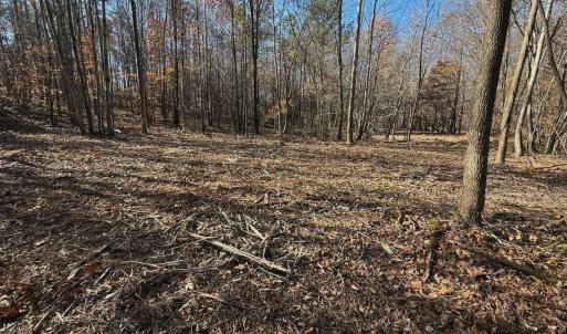 Photo #60 of Off Stone Drive, Roxboro, NC 40.8 acres