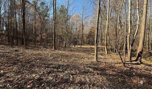 Photo #61 of Off Stone Drive, Roxboro, NC 40.8 acres