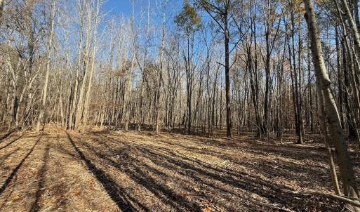 Photo #62 of Off Stone Drive, Roxboro, NC 40.8 acres
