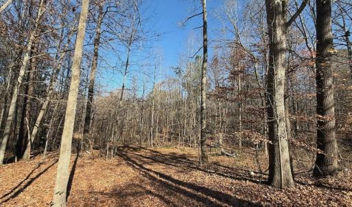 Photo #63 of Off Stone Drive, Roxboro, NC 40.8 acres