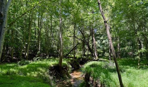 Photo #68 of Off Stone Drive, Roxboro, NC 40.8 acres