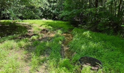 Photo #77 of Off Stone Drive, Roxboro, NC 40.8 acres