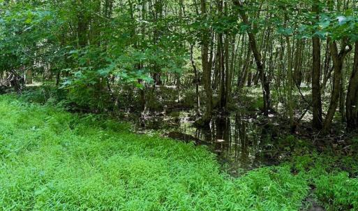 Photo #78 of Off Stone Drive, Roxboro, NC 40.8 acres