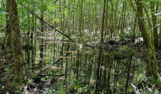 Photo #80 of Off Stone Drive, Roxboro, NC 40.8 acres