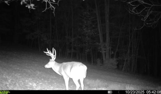 Photo #8 of Off Beulah Road, Rocky Mount, VA 18.3 acres