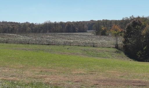 Photo #35 of Off Beulah Road, Rocky Mount, VA 18.3 acres