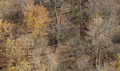 Photo #21 of Off Beulah Road, Rocky Mount, VA 18.3 acres