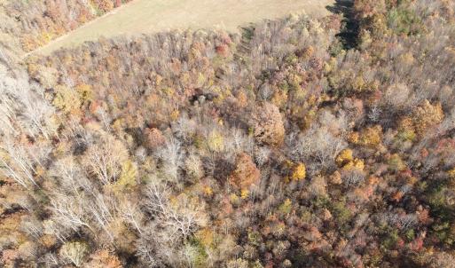 Photo #23 of Off Beulah Road, Rocky Mount, VA 18.3 acres