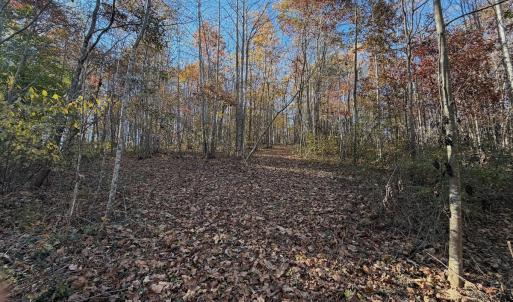 Photo #68 of Off Beulah Road, Rocky Mount, VA 18.3 acres