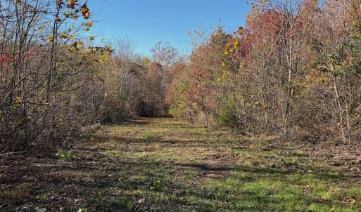 Photo #63 of Off Beulah Road, Rocky Mount, VA 18.3 acres