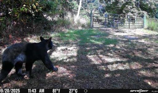 Photo #92 of Off Beulah Road, Rocky Mount, VA 18.3 acres