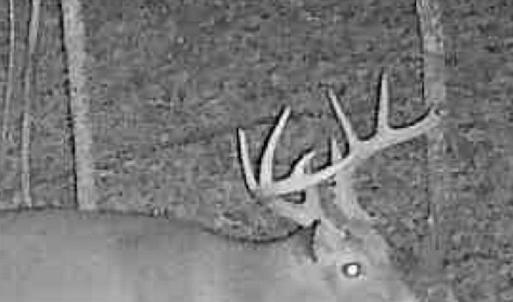 Photo #94 of Off Beulah Road, Rocky Mount, VA 18.3 acres