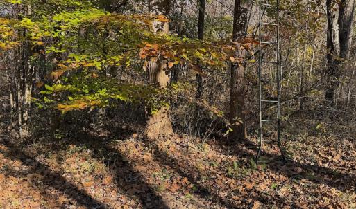 Photo #66 of Off Beulah Road, Rocky Mount, VA 15.1 acres