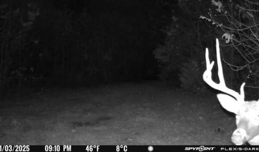 Photo #93 of Off Beulah Road, Rocky Mount, VA 15.1 acres