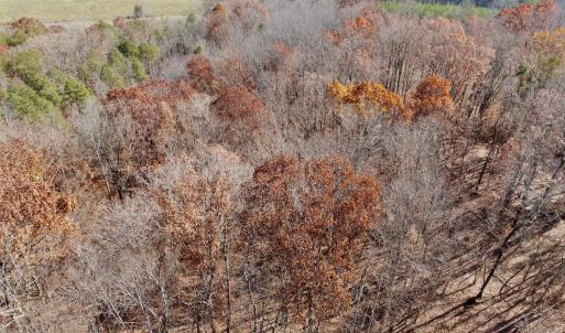 Photo #4 of Off Leesville Lake Drive, Pittsville, VA 5.6 acres