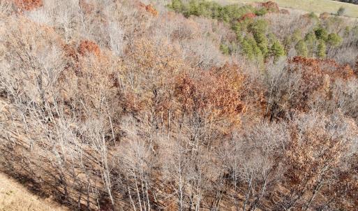 Photo #5 of Off Leesville Lake Drive, Pittsville, VA 5.6 acres