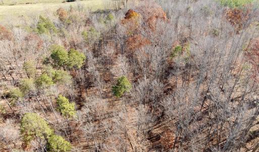 Photo #6 of Off Leesville Lake Drive, Pittsville, VA 5.6 acres