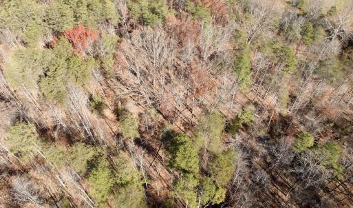 Photo #7 of Off Leesville Lake Drive, Pittsville, VA 5.6 acres