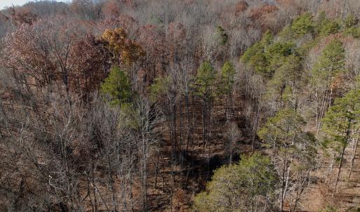 Photo #8 of Off Leesville Lake Drive, Pittsville, VA 5.6 acres