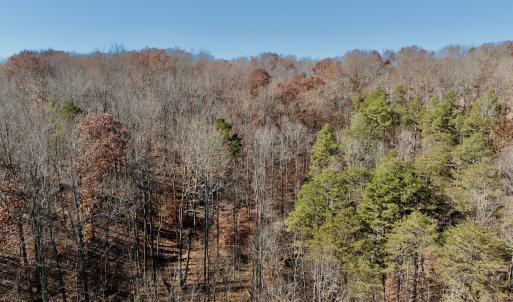 Photo #20 of Off Leesville Lake Drive, Pittsville, VA 5.6 acres