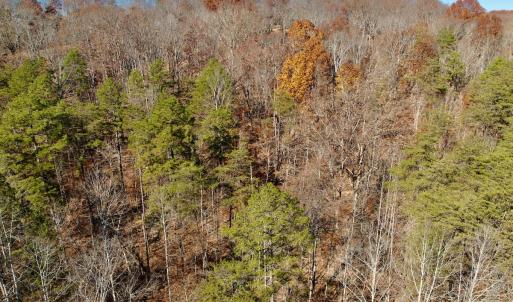 Photo #21 of Off Leesville Lake Drive, Pittsville, VA 5.6 acres