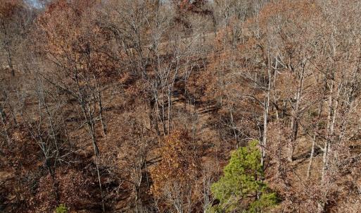 Photo #22 of Off Leesville Lake Drive, Pittsville, VA 5.6 acres