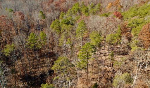 Photo #24 of Off Leesville Lake Drive, Pittsville, VA 5.6 acres