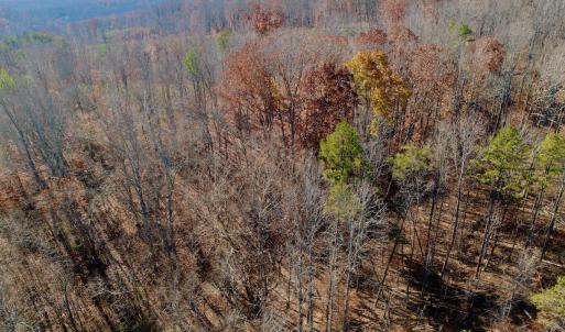 Photo #25 of Off Leesville Lake Drive, Pittsville, VA 5.6 acres