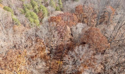 Photo #17 of Off Leesville Lake Drive, Pittsville, VA 5.6 acres