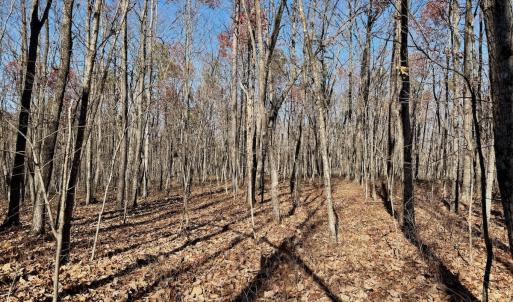 Photo #11 of Off Lemon Ridge Lane, Appomattox, VA 9.2 acres