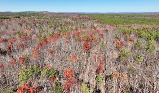 Photo #1 of Off Lemon Ridge Lane, Appomattox, VA 9.2 acres