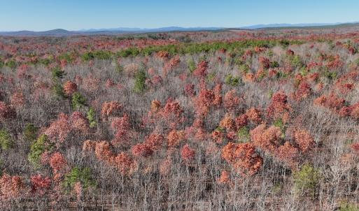 Photo #2 of Off Lemon Ridge Lane, Appomattox, VA 9.2 acres