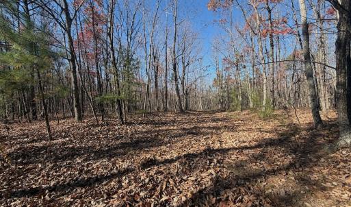 Photo #3 of Off Lemon Ridge Lane, Appomattox, VA 9.2 acres