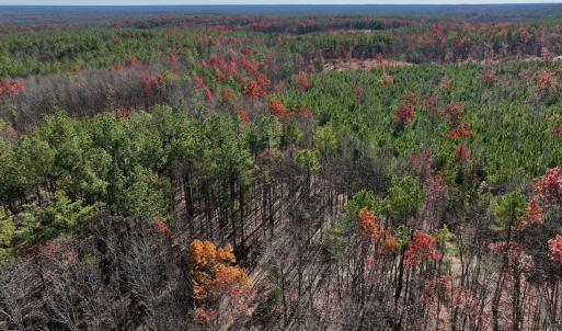 Photo #5 of Off Lemon Ridge Lane, Appomattox, VA 9.2 acres