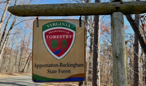 Photo #6 of Off Lemon Ridge Lane, Appomattox, VA 9.2 acres