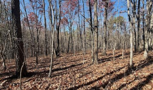 Photo #8 of Off Lemon Ridge Lane, Appomattox, VA 9.2 acres