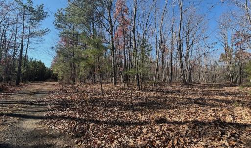 Photo #9 of Off Lemon Ridge Lane, Appomattox, VA 9.2 acres